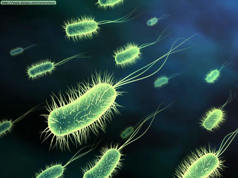 Agentes Infecciosos en&nbsp;Cirugía